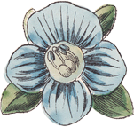 blue flower icon
